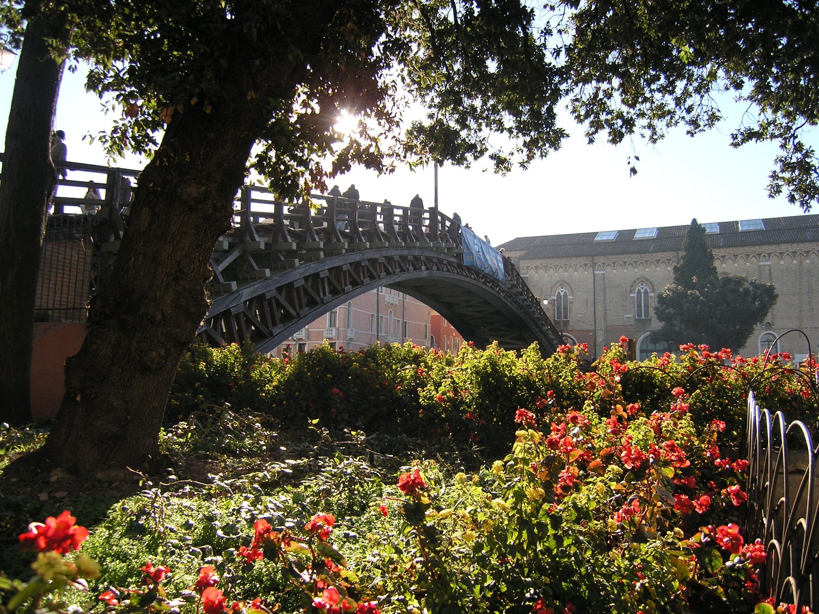 Accademia Bridge